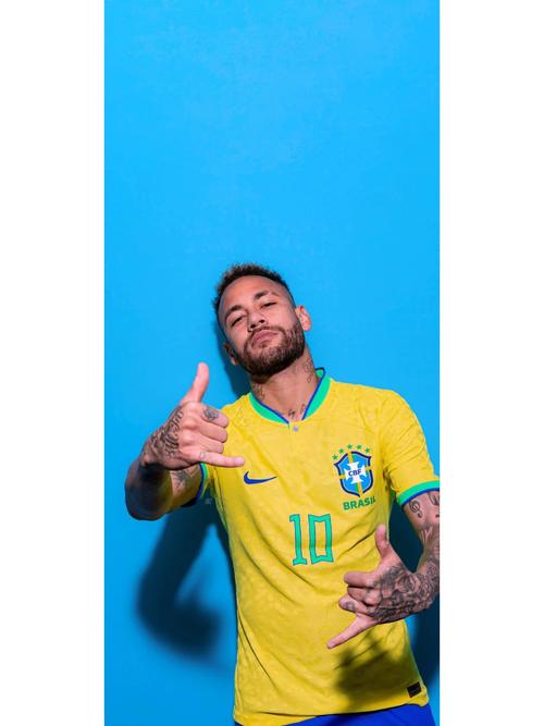 巴蒂斯图塔：梅西会以最好的状态备战明年世界杯！（巴蒂斯图塔称：梅西将以最佳状态备战明年世界杯！）